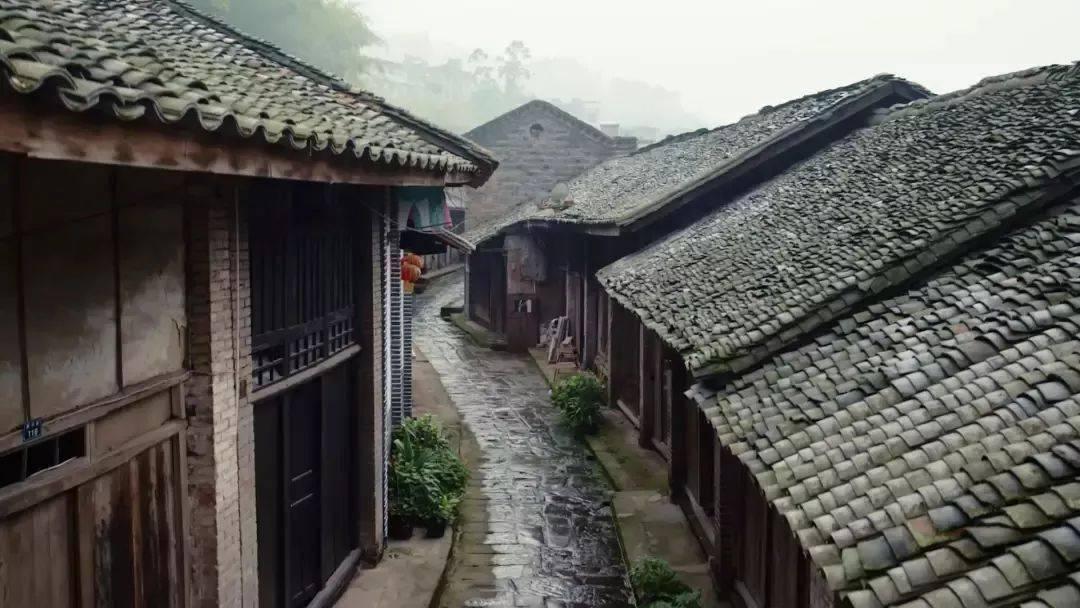 刘晓庆终于大大方方露脸,不戴假发不装嫩,跟普通奶奶一样真实